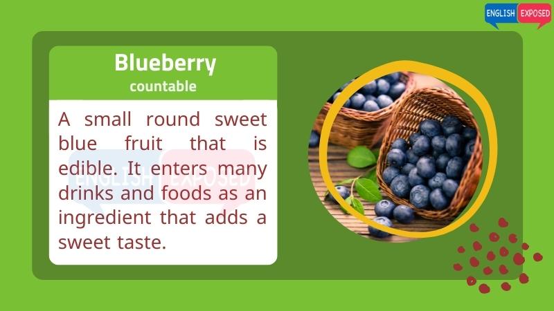 Blueberry-Food-List