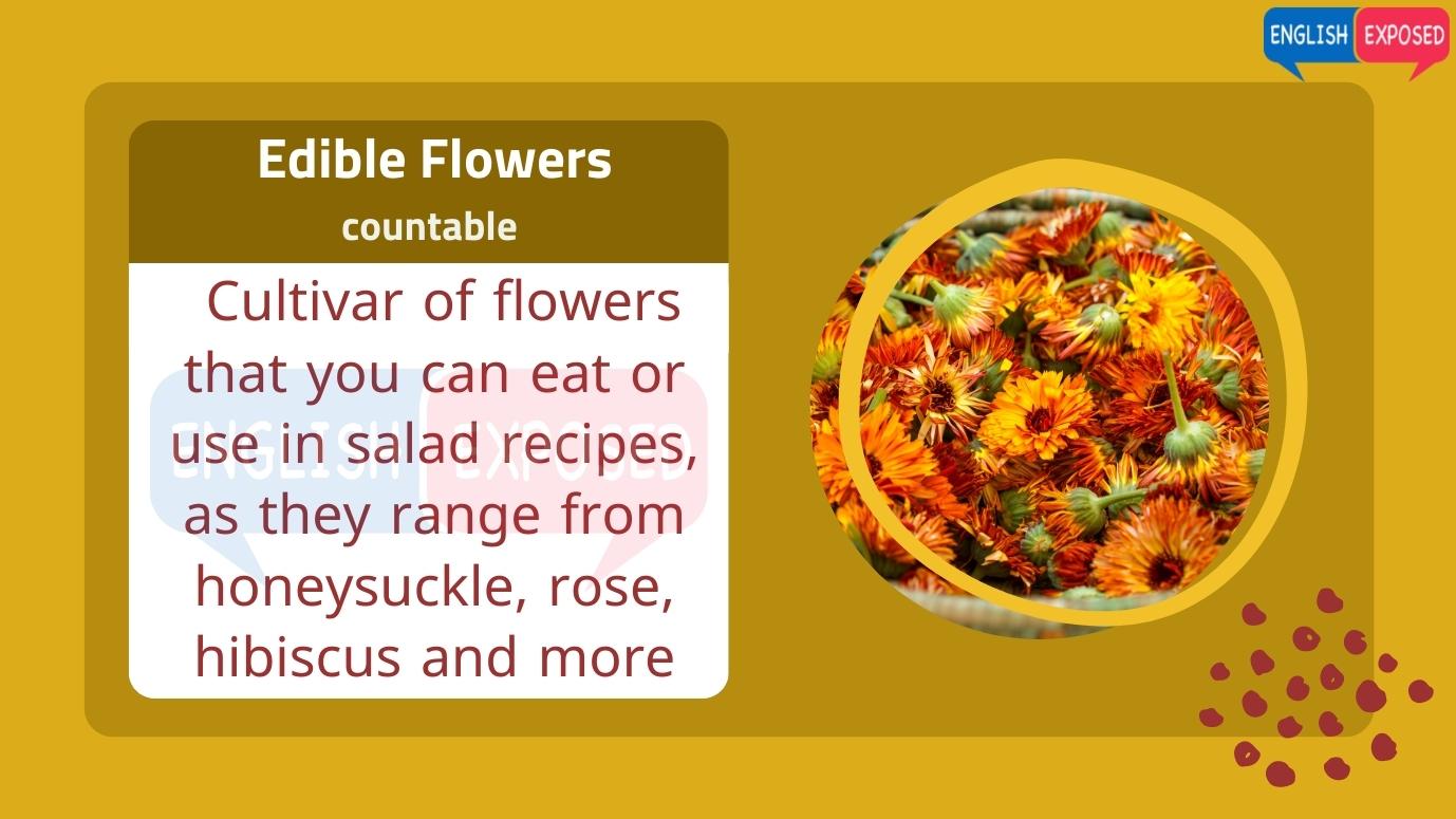 Edible-Flowers-Foods-That-Start-With-E