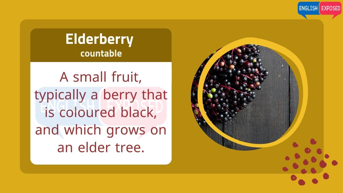 Elderberry-Foods-That-Start-With-E