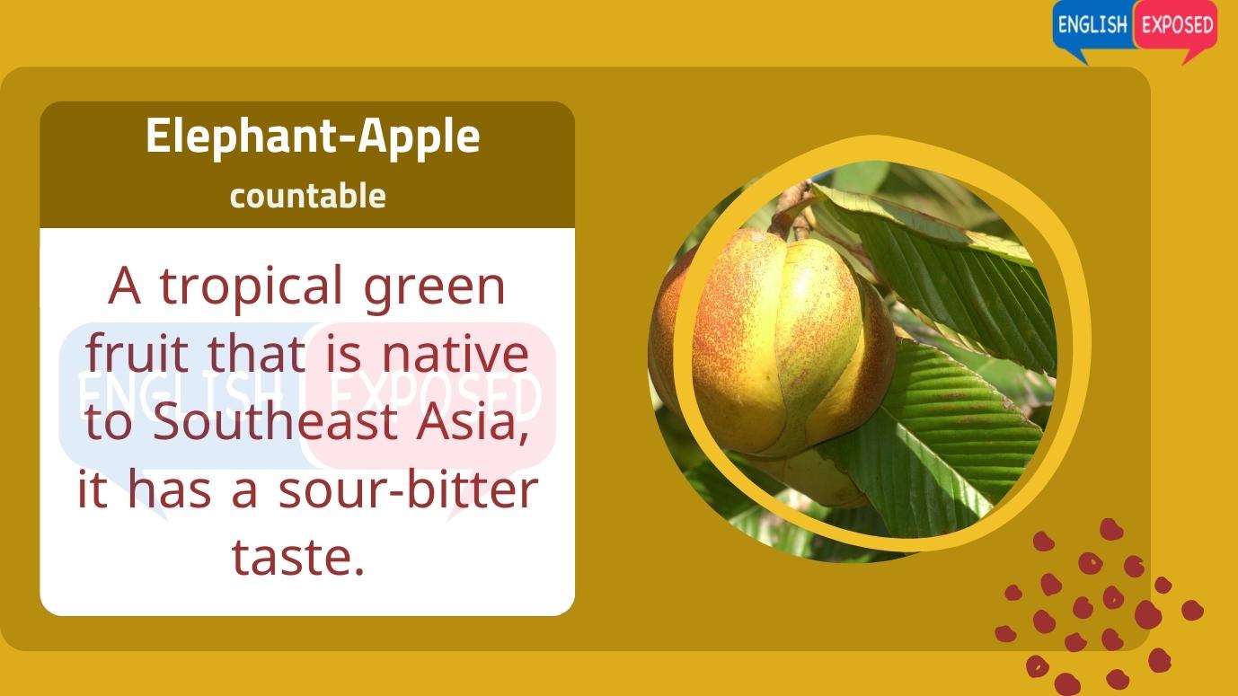 Elephant-Apple-Foods-That-Start-With-E