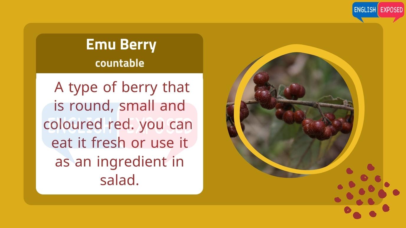 Emu-Berry-Foods-That-Start-With-E
