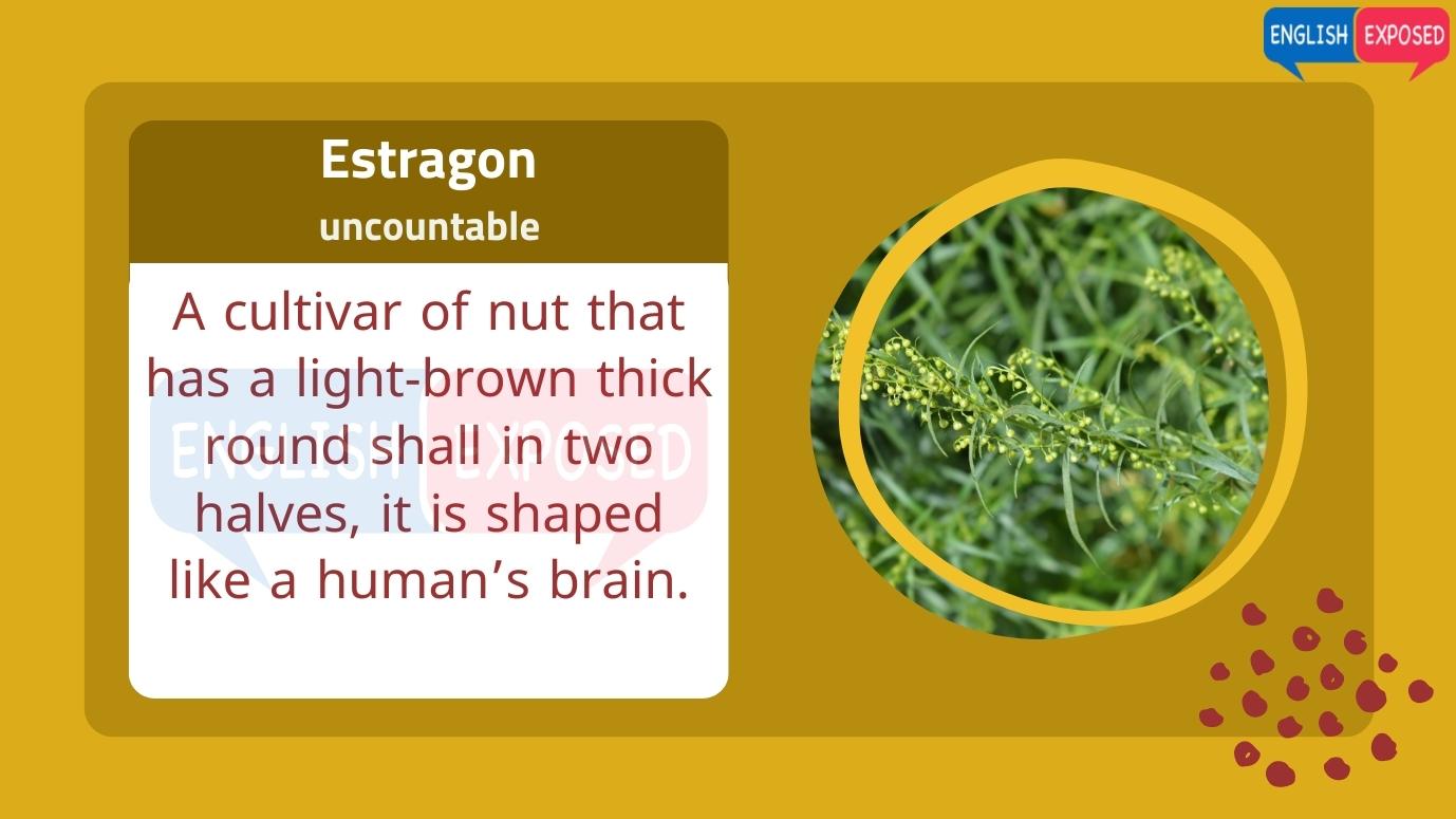 Estragon-Foods-That-Start-With-E