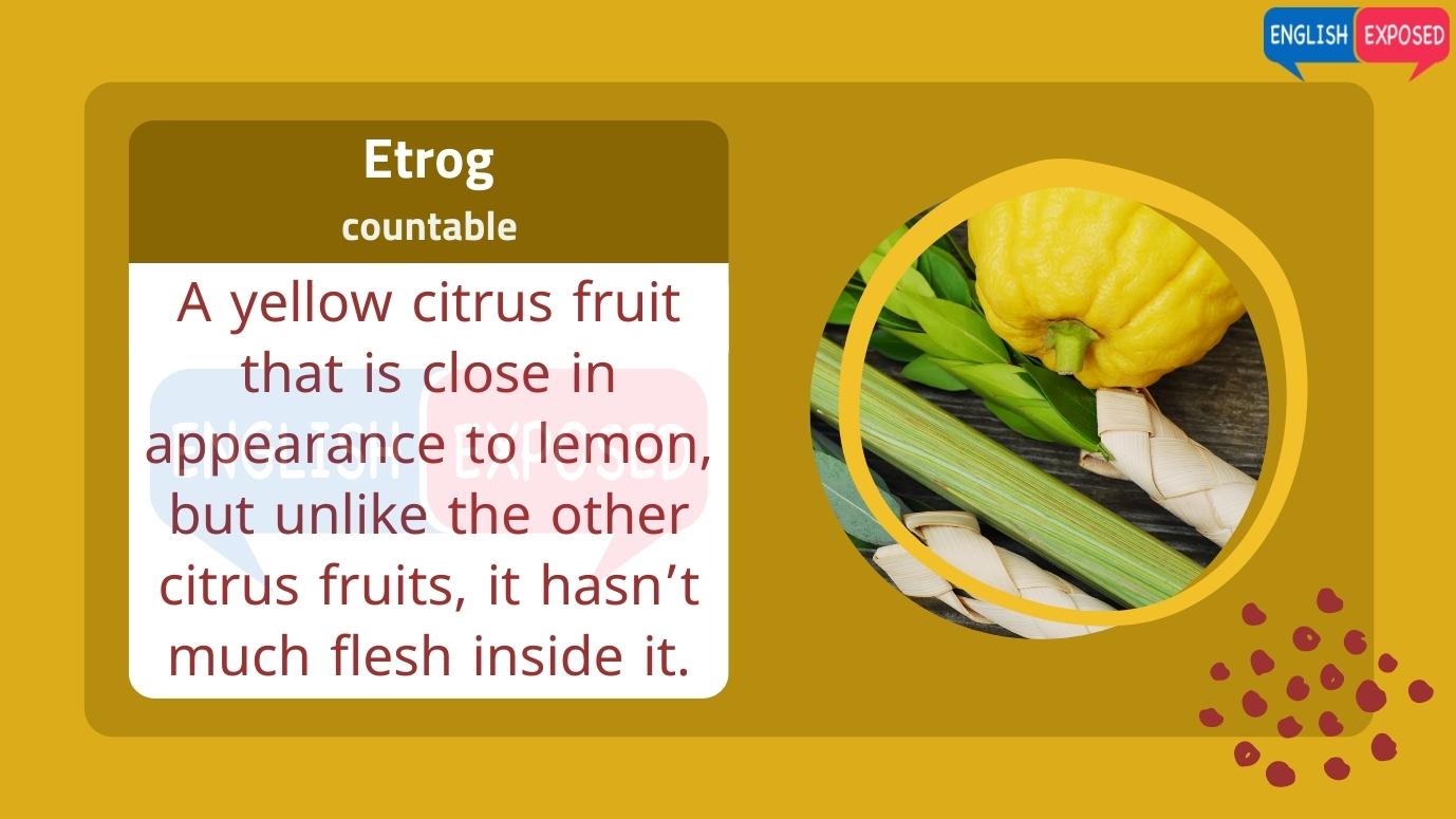 Etrog-Foods-That-Start-With-E