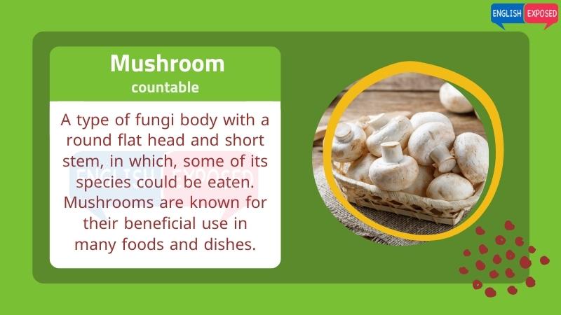 Mushroom-Food-List