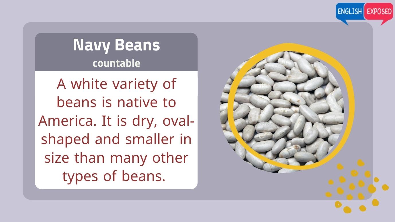 Navy-Beans-Food-List