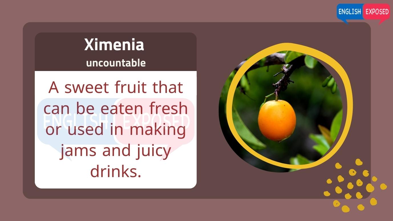 Ximenia-Foods-that-start-with-x