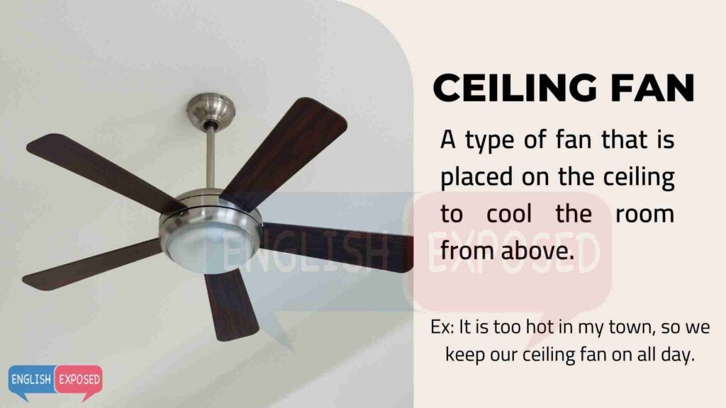Ceiling-Fan-Parts-of-a-House