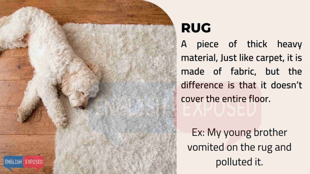 Rug-Parts-of-a-House
