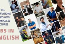Jobs-and-Occupations-in-English