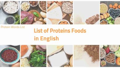 List-of-proteins-foods-in-English